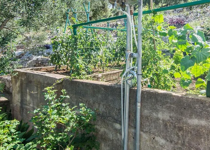 Apartamento In - Insel Pasman 50975