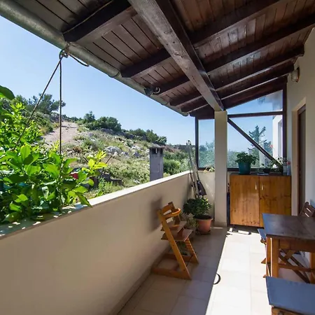 In - Insel Pasman 50975 * تكون